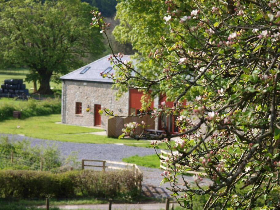 Peregrine Stable Cottage Llandovery Exterior photo